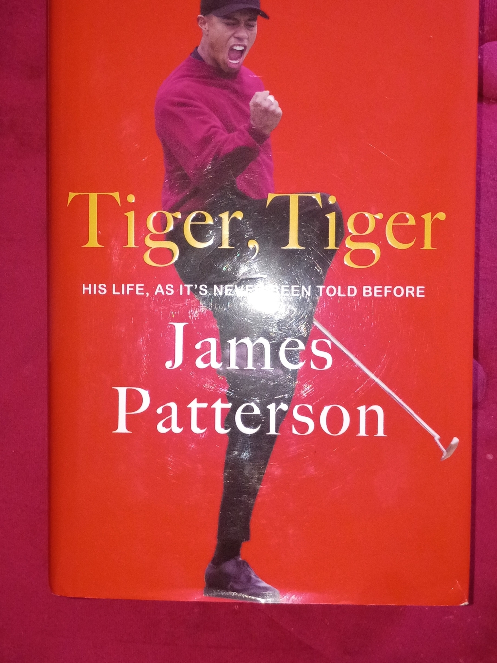 Tiger, Tiger by James Patterson - Bold Red Hardcover
